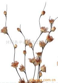 供應(yīng)葉脈花、龍柳、三叉木、龍桑、蘆葦專業(yè)指南